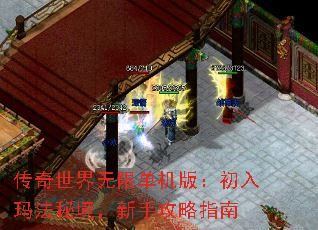 传奇世界无限单机版:初入玛法秘境,新手攻略指南 传奇世界无限单机版:初入玛法秘境,新手攻略指南