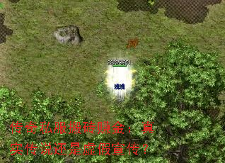 传奇私服搬砖赚金:真实传说还是虚假宣传? 传奇私服搬砖赚金:真实传说还是虚假宣传?