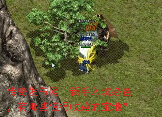 传奇发布网:新手入坑必备,有哪些值得收藏的宝地? 传奇发布网:新手入坑必备,有哪些值得收藏的宝地?