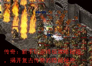 传奇:新手玩家终极攻略秘籍,揭开复古传奇的隐藏秘密 传奇:新手玩家终极攻略秘籍,揭开复古传奇的隐藏秘密