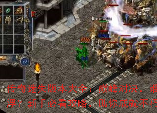 传奇迷失版本大全:巅峰对决,谁主沉浮?新手必看攻略,助你成就不朽神话 传奇迷失版本大全:巅峰对决,谁主沉浮?新手必看攻略,助你成就不朽神话