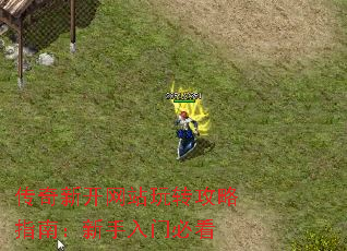 传奇新开网站玩转攻略指南:新手入门必看 传奇新开网站玩转攻略指南:新手入门必看