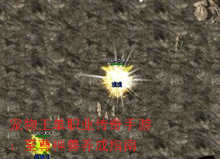 宠物王单职业传奇手游:至尊神兽养成指南 宠物王单职业传奇手游:至尊神兽养成指南