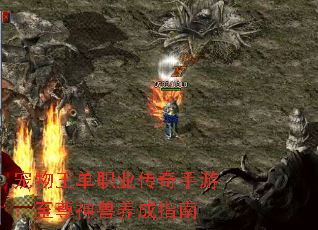 宠物王单职业传奇手游:至尊神兽养成指南 宠物王单职业传奇手游:至尊神兽养成指南