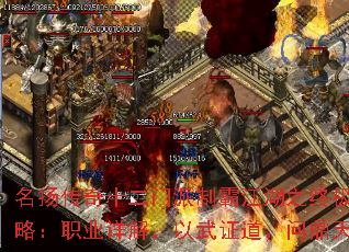 ���ﴫ��ʮ�������ưԽ���֮�ռ����ԣ�ְҵ��⣬����֤�����ʶ�����