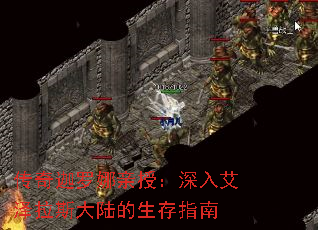 传奇迦罗娜亲授:深入艾泽拉斯大陆的生存指南 传奇迦罗娜亲授:深入艾泽拉斯大陆的生存指南