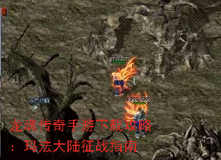 龙魂传奇手游下载攻略:玛法大陆征战指南 龙魂传奇手游下载攻略:玛法大陆征战指南