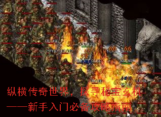 纵横传奇世界,探寻秘宝玄机——新手入门必备攻略指南 纵横传奇世界,探寻秘宝玄机——新手入门必备攻略指南