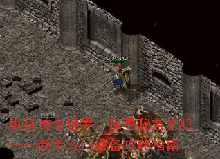 纵横传奇世界,探寻秘宝玄机——新手入门必备攻略指南 纵横传奇世界,探寻秘宝玄机——新手入门必备攻略指南