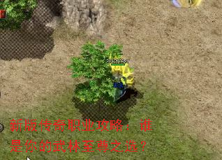 新版传奇职业攻略:谁是你的武林至尊之选? 新版传奇职业攻略:谁是你的武林至尊之选?