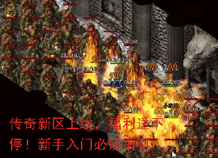 �����������ߣ������Ͳ�ͣ���������űض�ָ��