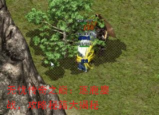 无忧传奇之巅:逐鹿鏖战,攻略秘籍大揭秘 无忧传奇之巅:逐鹿鏖战,攻略秘籍大揭秘