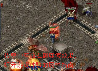 传奇中有效抵御麻痹效果,提升游戏体验的属性指南 传奇中有效抵御麻痹效果,提升游戏体验的属性指南