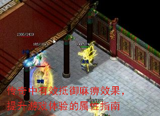 传奇中有效抵御麻痹效果,提升游戏体验的属性指南 传奇中有效抵御麻痹效果,提升游戏体验的属性指南