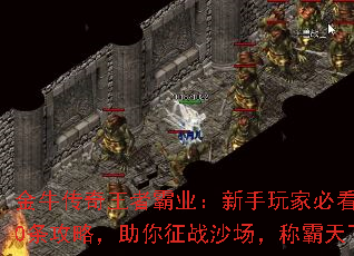 金牛传奇王者霸业:新手玩家必看20条攻略,助你征战沙场,称霸天下 金牛传奇王者霸业:新手玩家必看20条攻略,助你征战沙场,称霸天下