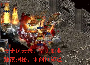 传奇风云录:罕见职业独家揭秘,谁问谁知道 传奇风云录:罕见职业独家揭秘,谁问谁知道