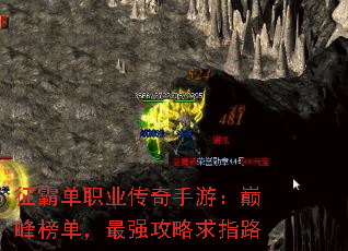 征霸单职业传奇手游:巅峰榜单,最强攻略求指路 征霸单职业传奇手游:巅峰榜单,最强攻略求指路