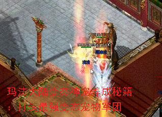 玛法大陆变态神宠养成秘籍:打造最强变态宠物军团 玛法大陆变态神宠养成秘籍:打造最强变态宠物军团