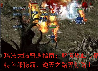 �귨��½����ָ�ϣ�������Ѫ������ɫ���ؼ�������֮·����̤��