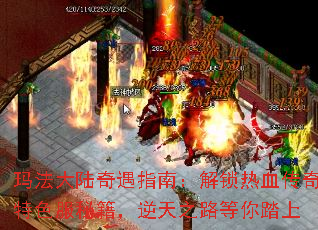 �귨��½����ָ�ϣ�������Ѫ������ɫ���ؼ�������֮·����̤��