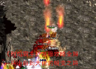 �������������������ȫ�⣺��С�׵����е��ɱ�֮·