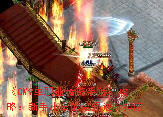 《GM9单职业传奇手游》攻略:新手小白的最强进阶指南 《GM9单职业传奇手游》攻略:新手小白的最强进阶指南