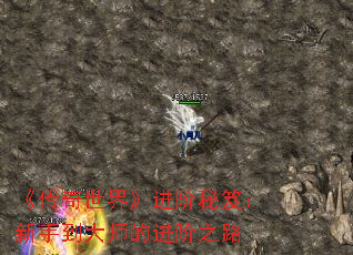 《传奇世界》进阶秘笈:新手到大师的进阶之路 《传奇世界》进阶秘笈:新手到大师的进阶之路