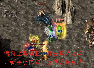 传奇至尊霸业:开服攻略必读,新手小白如何玩转竖版巅峰 传奇至尊霸业:开服攻略必读,新手小白如何玩转竖版巅峰