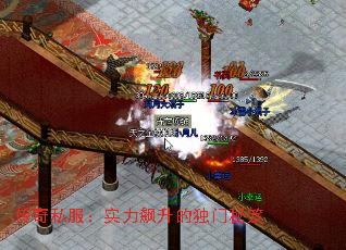 传奇私服:实力飙升的独门秘笈 传奇私服:实力飙升的独门秘笈