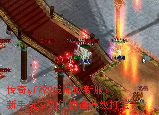 传奇sf999发布网新服:新手玩家如何快速升级打宝? 传奇sf999发布网新服:新手玩家如何快速升级打宝?