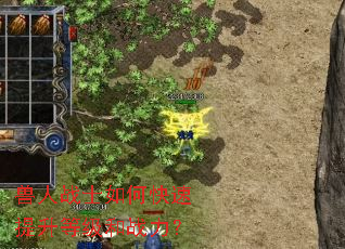 兽人战士如何快速提升等级和战力? 兽人战士如何快速提升等级和战力?