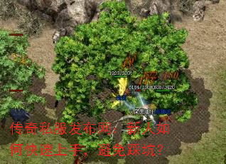 ����˽����������������ο������֣�����ȿӣ�