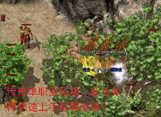 传奇单职业私服,新手如何快速上手称霸全服? 传奇单职业私服,新手如何快速上手称霸全服?