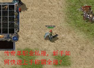 传奇单职业私服,新手如何快速上手称霸全服? 传奇单职业私服,新手如何快速上手称霸全服?