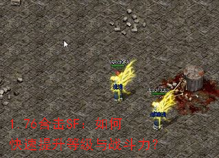 1.76合击SF:如何快速提升等级与战斗力? 1.76合击SF:如何快速提升等级与战斗力?