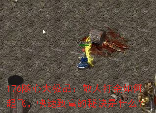 176随心大极品:散人打金如何起飞,快速致富的秘诀是什么? 176随心大极品:散人打金如何起飞,快速致富的秘诀是什么?