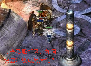 ����˽����������ο��ٳ弶��Ϊ���У�