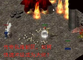 ����˽����������ο��ٳ弶��Ϊ���У�