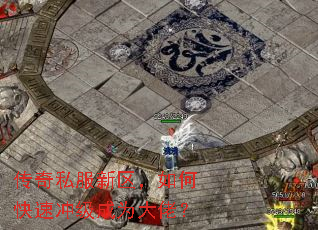 ����˽����������ο��ٳ弶��Ϊ���У�