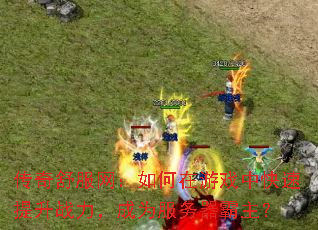 传奇舒服网:如何在游戏中快速提升战力,成为服务器霸主? 传奇舒服网:如何在游戏中快速提升战力,成为服务器霸主?
