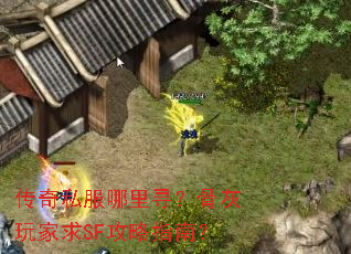 传奇私服哪里寻?骨灰玩家求SF攻略指南? 传奇私服哪里寻?骨灰玩家求SF攻略指南?