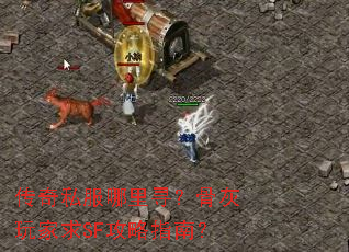 传奇私服哪里寻?骨灰玩家求SF攻略指南? 传奇私服哪里寻?骨灰玩家求SF攻略指南?