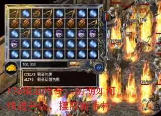 176精品传奇:初期如何快速升级,摆脱新手村? 176精品传奇:初期如何快速升级,摆脱新手村?