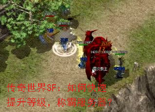 ��������SF����ο��������ȼ����ưԷ�������