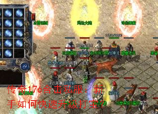 传奇176合击私服:新手如何快速升级打宝? 传奇176合击私服:新手如何快速升级打宝?