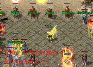 兄弟,刚开的私服传奇怎么快速上手? 兄弟,刚开的私服传奇怎么快速上手?