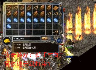 传奇游戏:新手村如何快速升级打宝? 传奇游戏:新手村如何快速升级打宝?