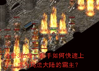 传奇3私服:新手如何快速上手,成为玛法大陆的霸主? 传奇3私服:新手如何快速上手,成为玛法大陆的霸主?