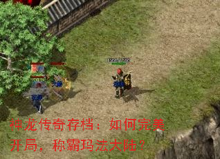 神龙传奇存档:如何完美开局,称霸玛法大陆? 神龙传奇存档:如何完美开局,称霸玛法大陆?