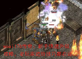 woai176传奇:新手快速升级攻略,老玩家进阶技巧都在这儿? woai176传奇:新手快速升级攻略,老玩家进阶技巧都在这儿?
